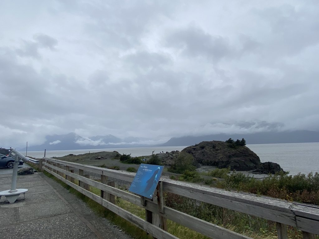 Voo panorâmico no ES leva passageiros a conhecerem paisagens de tirar o  fôlego; FOTOS, Espírito Santo